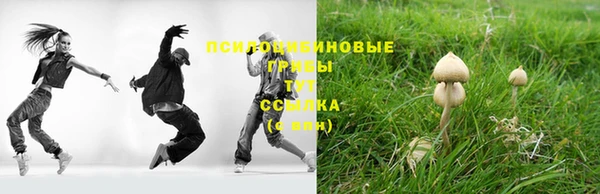 ECSTASY Алексеевка