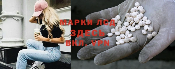 стафф Алексин