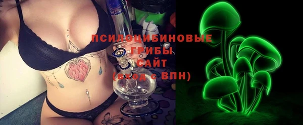 стафф Алексин
