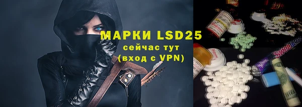 стафф Алексин