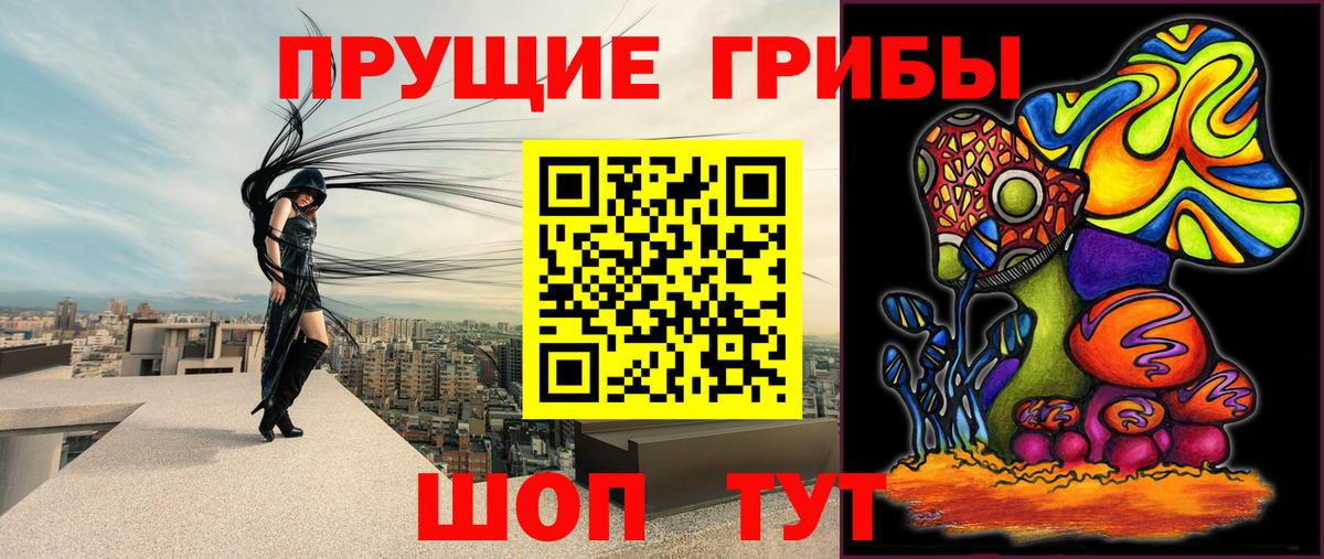 Псилоцибиновые грибы мицелий Кизилюрт